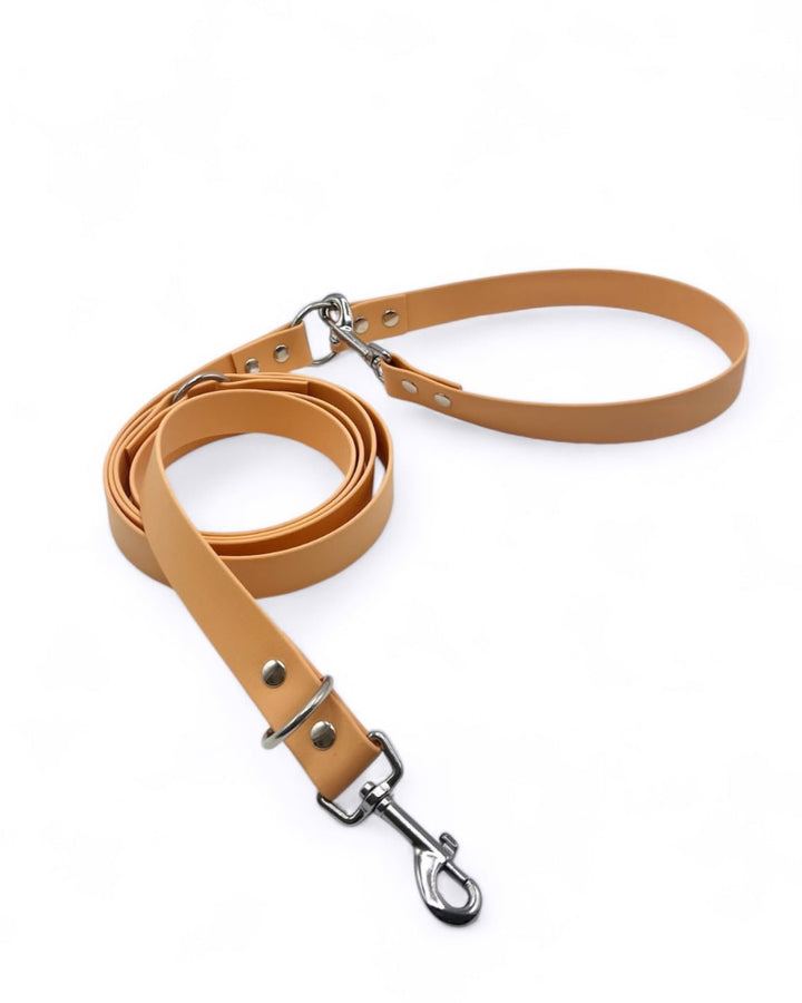 laisse multipositions chien biothane pêche