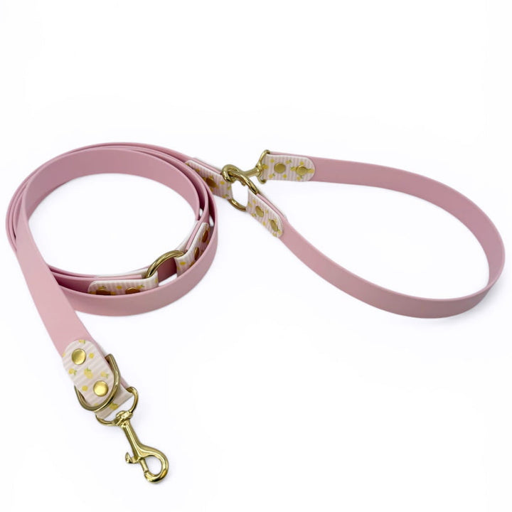 laisse multipositiuons en biothane pour chiens avec motifs citrons