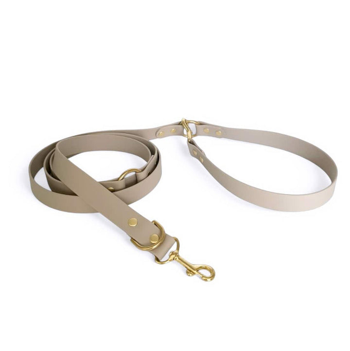 laisse chien multipositions taupe biothane