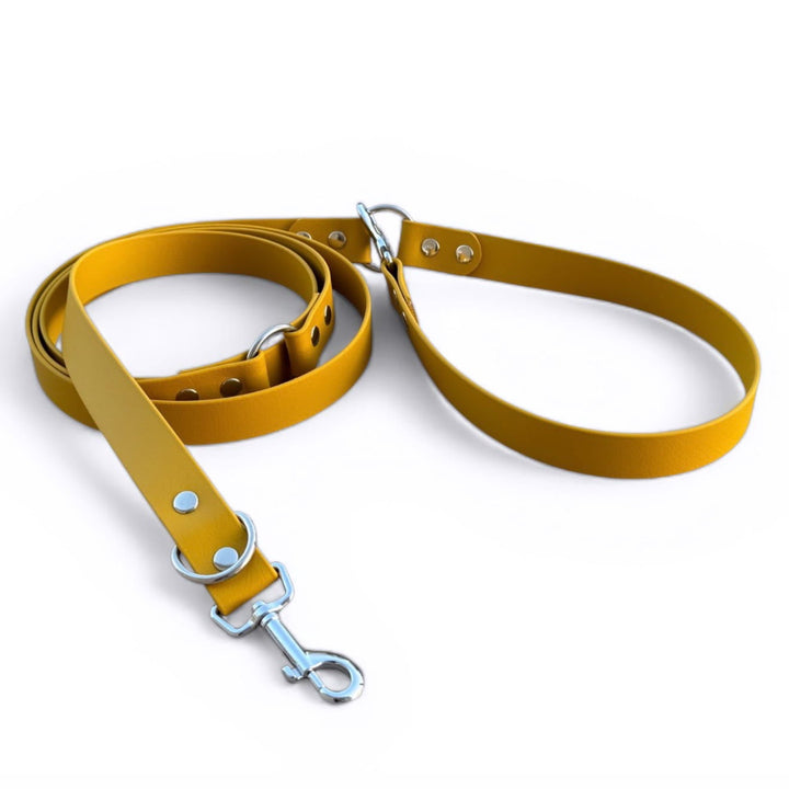 laisse multipositions chien moutarde