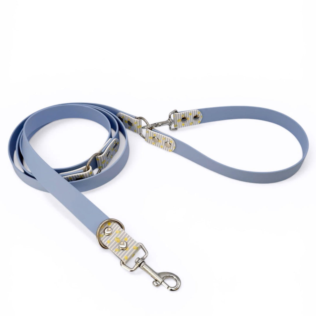 laisse multipositions pour chien en biothane avec citrons