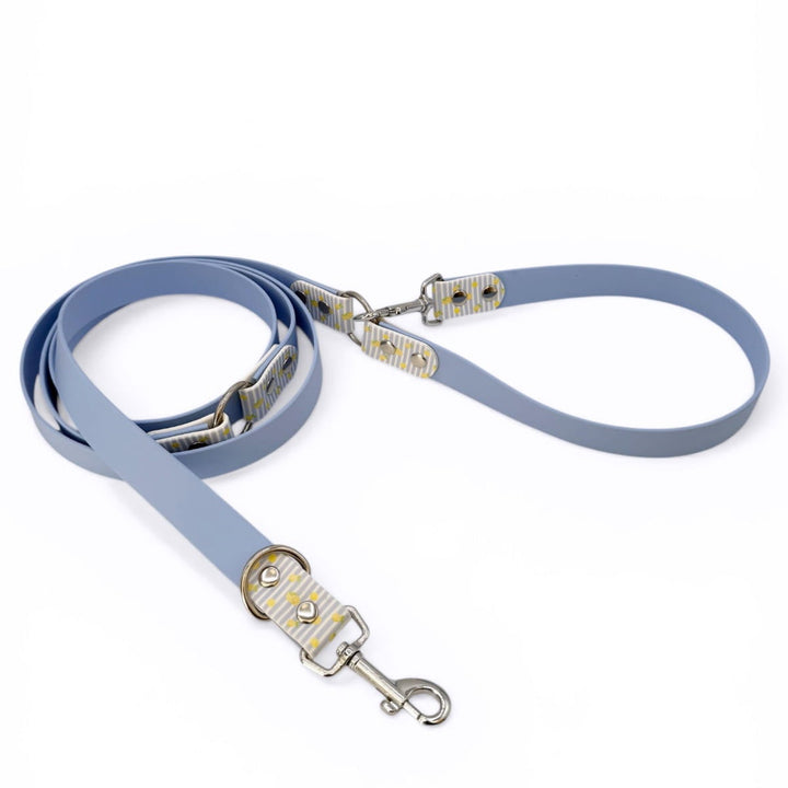 laisse multipositions pour chien en biothane avec citrons