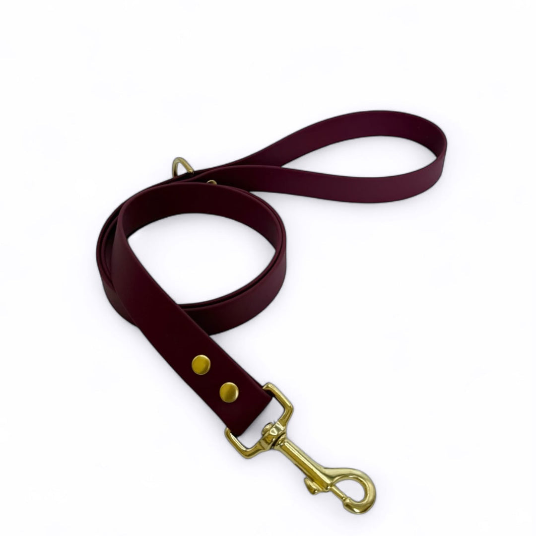 laisse biothane chien bordeaux