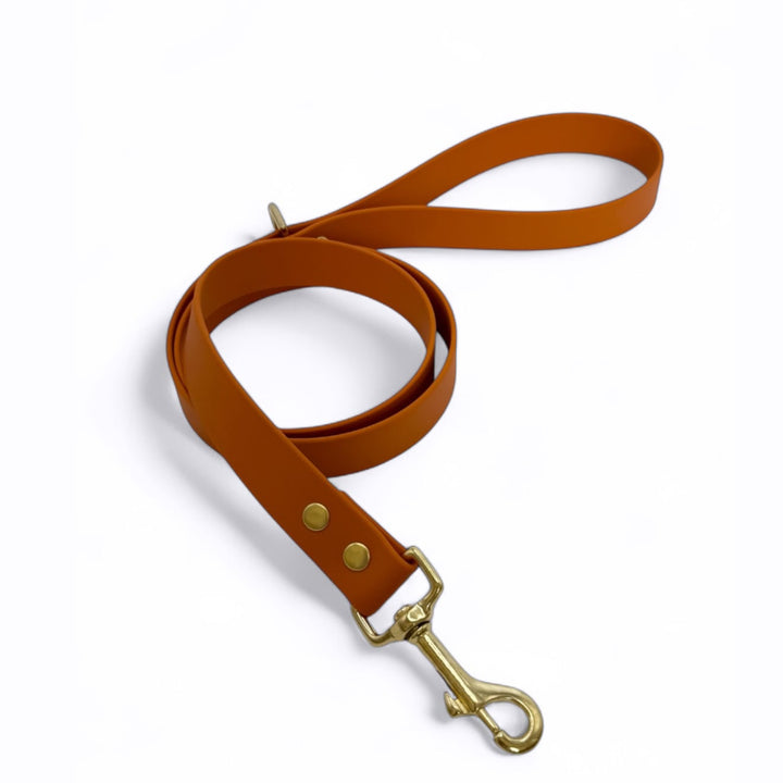 Laisse biothane orange foncé