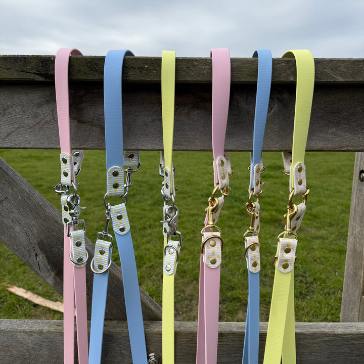 laisses multipositions chien biothane motif citrons